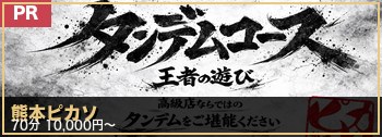 熊本ピカソ